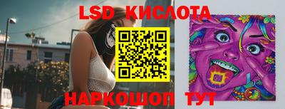 spice Кунгур