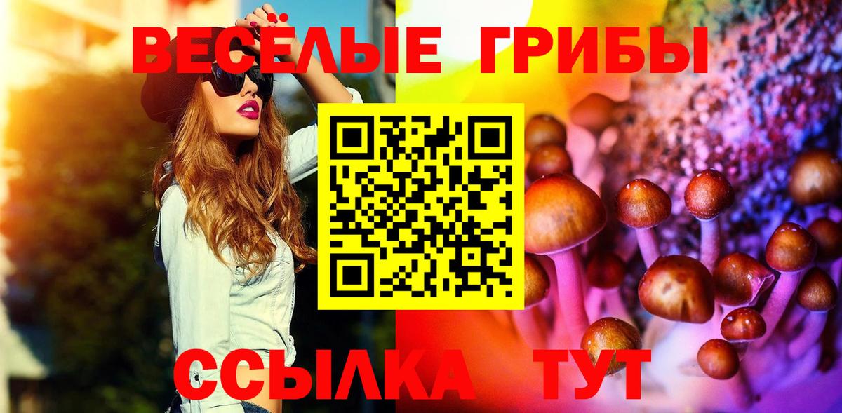 Дедовск  Галлюциногенные грибы мухоморы  Вход с VPN  Галлюциногенные грибы прущие грибы 